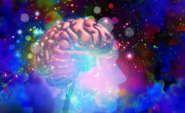 psychedelics and the brain